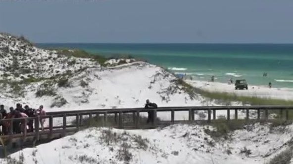 Florida panhandle beach reopens after series of shark attacks leave 3 people hospitalized