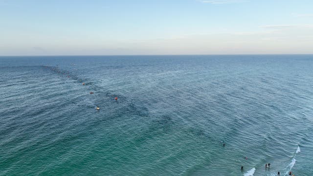 3 Alabama men die while swimming at Florida beach