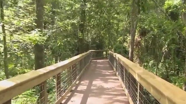 New trails open to explore popular Seminole County park