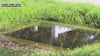 Florida woman faces lawsuit, code violation after filling storm drain with concrete, court records show