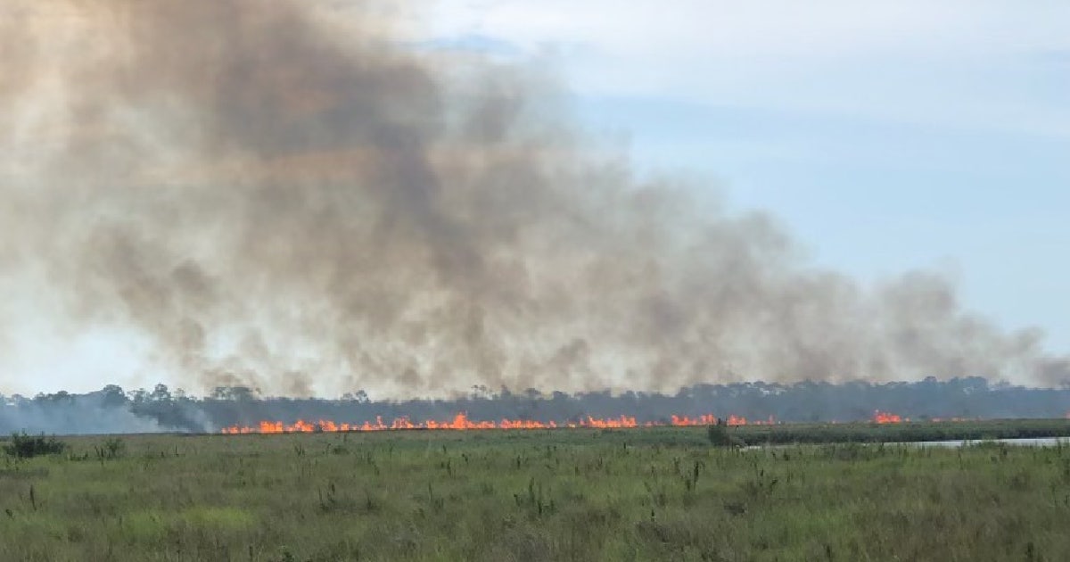 Lightning sparks brush fire in Ormond Beach, fire department says | FOX ...