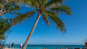 Man bitten by shark in Florida Keys while spearfishing; friend saved his life