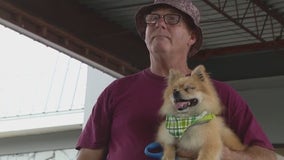 Emotional support Pomeranian named 'BoJack' loses eye after pit bull attack at Kissimmee apartment complex