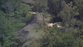 'Alligator activity' shuts down Orange County park