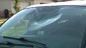 'It's scary': Melbourne police investigating car vandalisms across city that left windshields shattered
