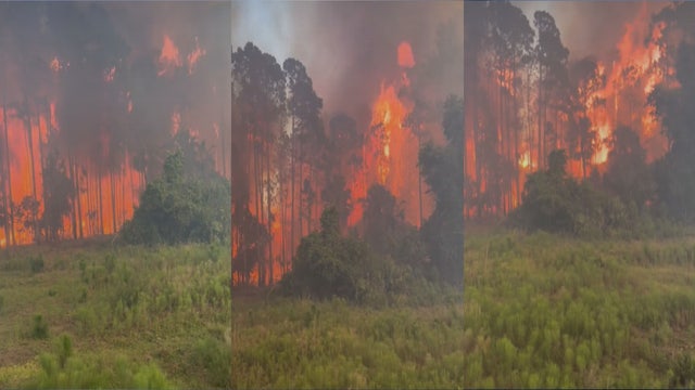 Lightning strike sparks New Smyrna Beach wildfire near I-95, officials say
