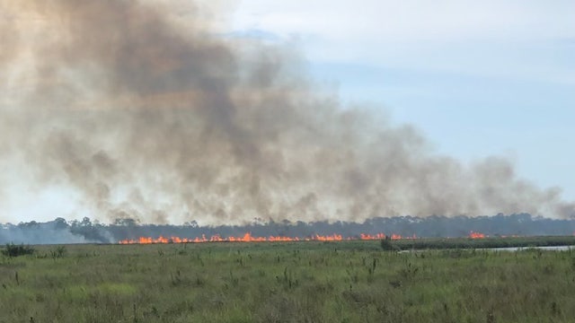 Lightning sparks brush fire in Ormond Beach, fire department says