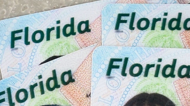 Why your new Florida driver's license will have random numbers on it