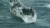 WATCH: Coast Guard rescues 2 stranded boaters off Florida coast amid Tropical Storm Debby
