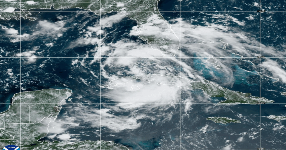 Tropical Storm Debby forms; Live updates, watches, and warnings | FOX ...