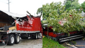 Coca-Cola truck, tree involved in crash in Ocala, officials say