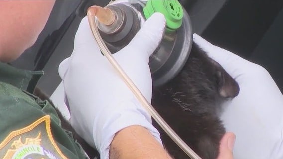 Family, pets rescued from burning home in Longwood