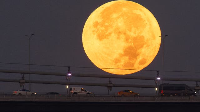 Don't miss tonight's supermoon blue moon: What to know about this rare event you won't see again until 2037
