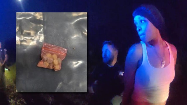 Ecstasy bust in Florida throws family's cruise vacation off course: deputies