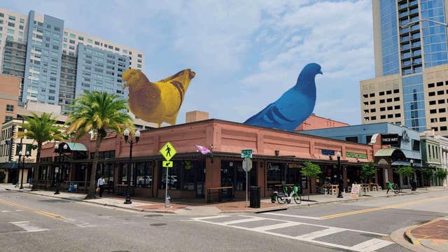 Why are there massive pigeons on top of buildings in downtown Orlando?