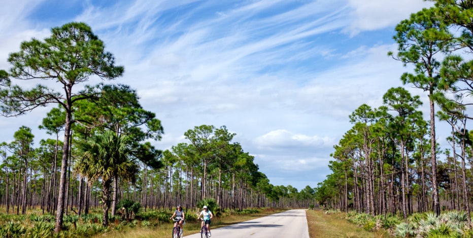 Florida wants to add golf courses, pickleball to state parks