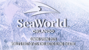 SeaWorld Orlando announces new Artic flying theater attraction coming in 2025