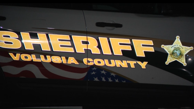 1 man, 2 dogs die in Volusia County structure fire, officials say