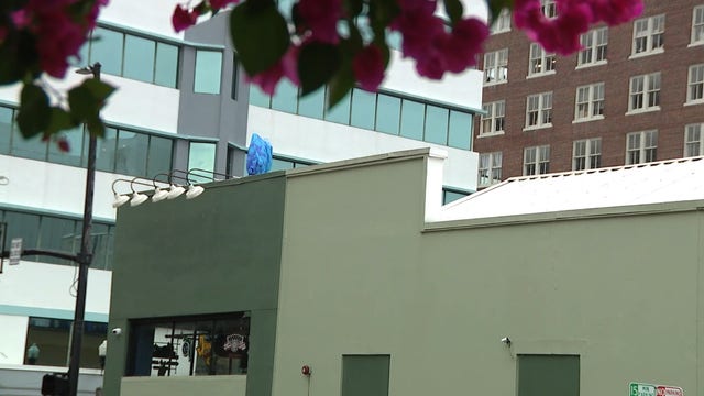 Iconic inflatable pigeons in downtown Orlando secured ahead of Hurricane Helene