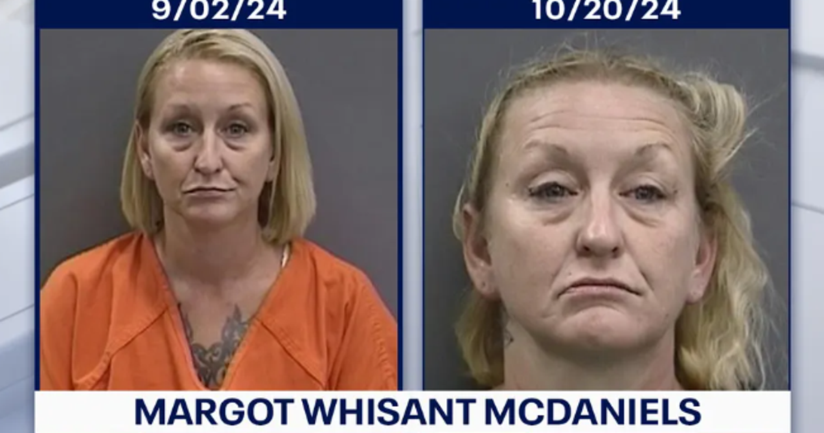 Tampa woman leads police on wrong-way highway chase in second DUI since ...