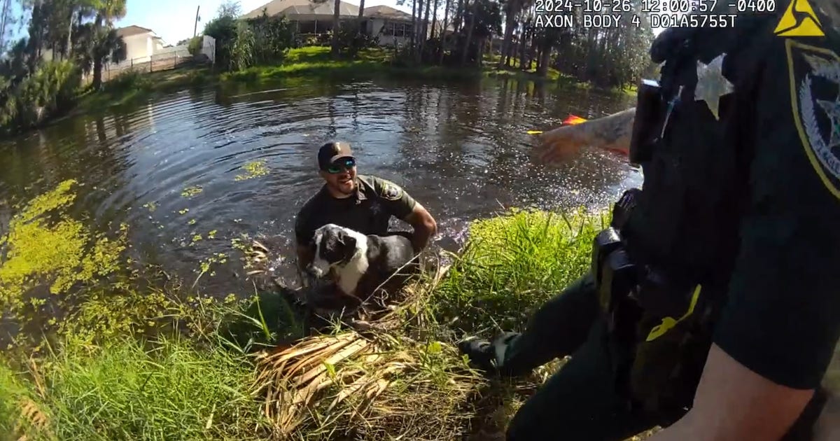 Florida deputy rescues dog stuck in pond: 'My hero!' | FOX 35 Orlando
