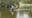Two rescued from floodwaters in DeLand, officials say