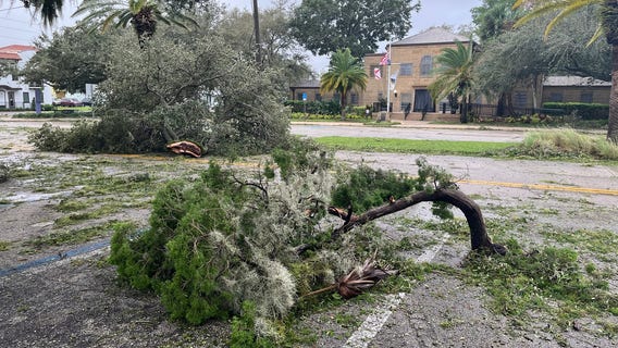 Hurricane Milton debris pick-up: County-by-county