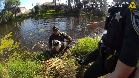 Florida deputy rescues dog stuck in pond: 'My hero!'