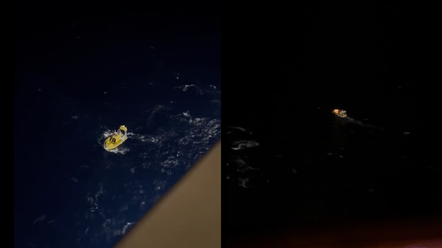 Woman falls overboard Allure of the Seas cruise ship near Bahamas: US Coast Guard