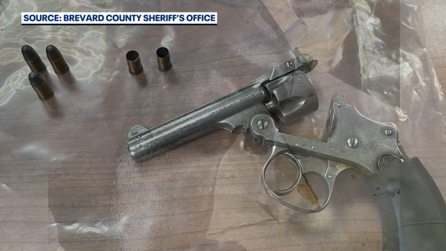 Florida man shot, killed his dog because he had no power after Hurricane Milton hit the state: sheriff