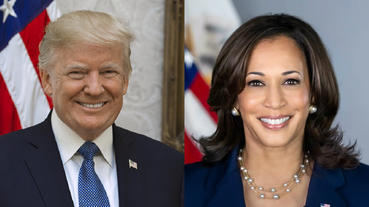 Us House Election Results 2024 Fox News Cami Phaedra