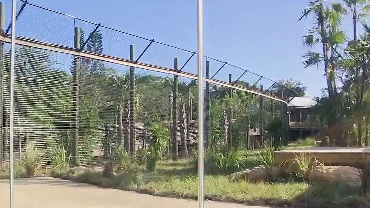 Brevard Zoo unveils expanded 'Expedition Africa' with new lion habitat
