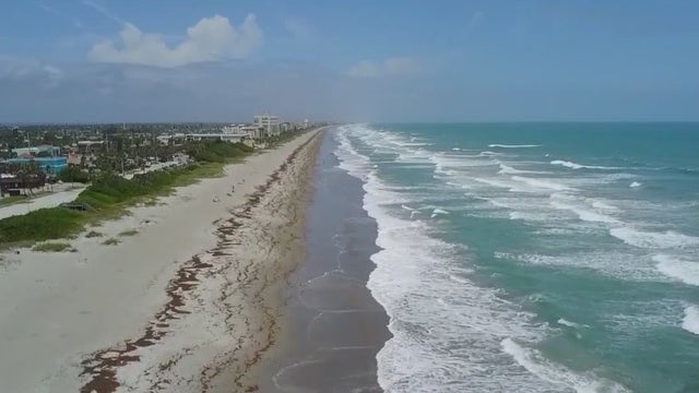 Commissioner hopes to make Brevard a 'Bill of Rights sanctuary county'