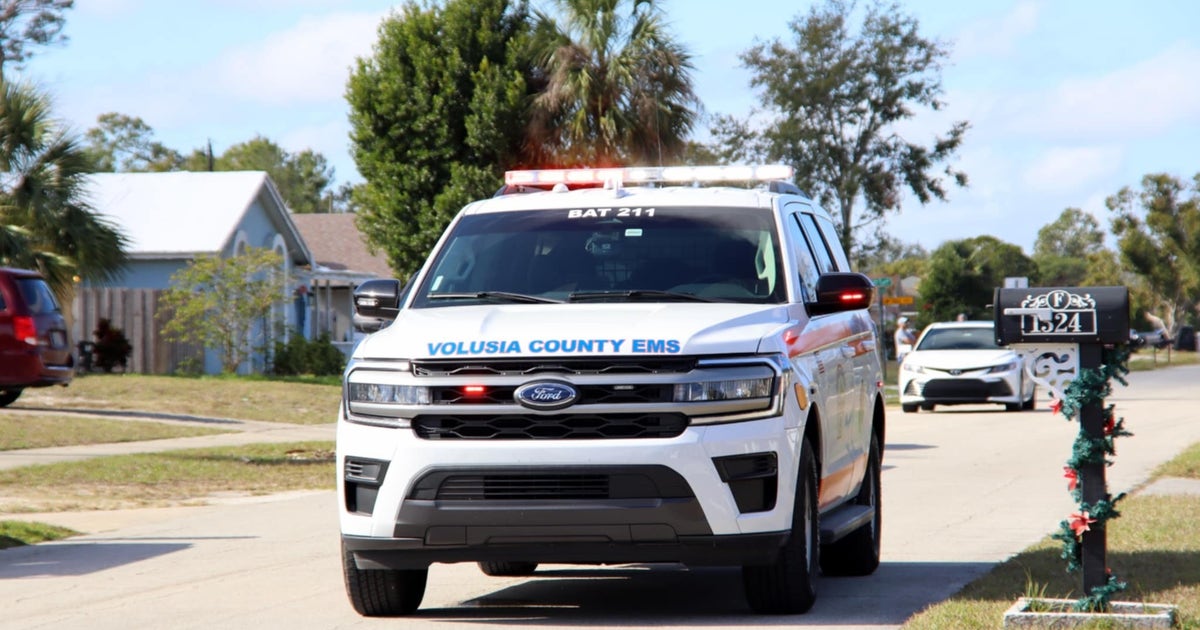 6-year-old boy injured in dog attack in Deltona, according to Volusia ...