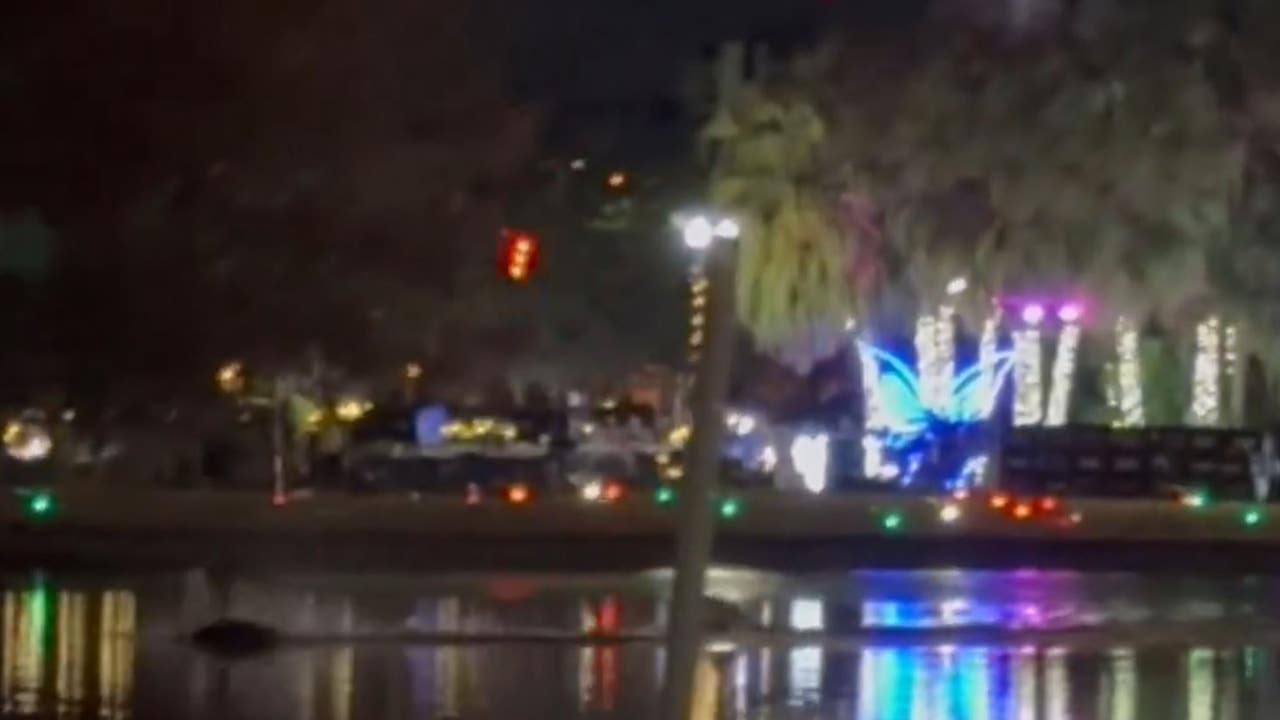 1 injured after Holiday Drone Show at Lake Eola, officials say FOX 35 Orlando