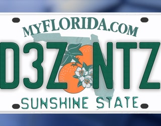【廃盤品貴重!】新品 ZETLIGHT LANCIA2 FRESHWATER Rejected personalized license plates (Florida's Version): 'FARTZ