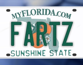 Rejected personalized license plates (Florida's Version): 'FARTZ