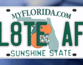 Rejected personalized license plates (Florida's Version): 'FARTZ