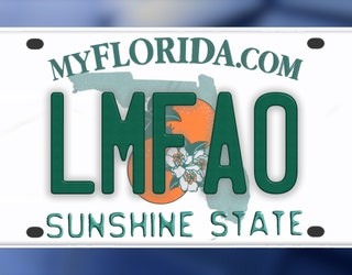lmfa0.jpg?ve=1&tl=1