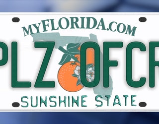 Rejected personalized license plates (Florida's Version): 'FARTZ