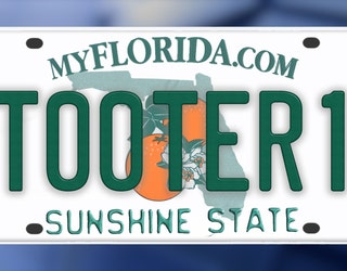 Rejected personalized license plates (Florida's Version): 'FARTZ