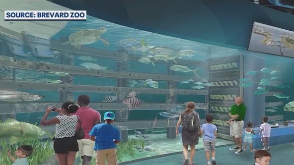 Brevard Zoo announces plans for Bowen Aquarium and Conservation Center