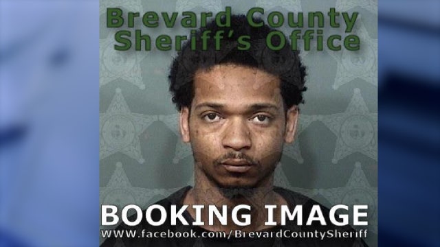 Police: Florida man arrested after being accused of breaking into cars, shot by homeowner