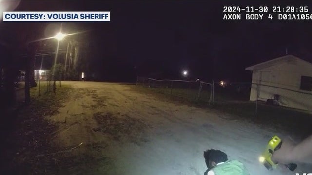 DeLand hit-and-run suspect arrested after foot chase, tasing