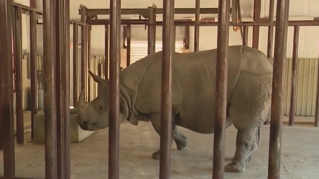 Animals at Central Florida Zoo get extra care as temperatures drop Animals at Central Florida Zoo get extra care as temperatures drop
