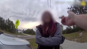 Juvenile suspect arrested in a number of Palm Bay vehicle burglaries