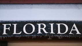 1 arrested after snowballs thrown at Florida police officers, officials say
