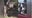 Dogs that killed 8-year-old Florida boy euthanized Thursday, officials say
