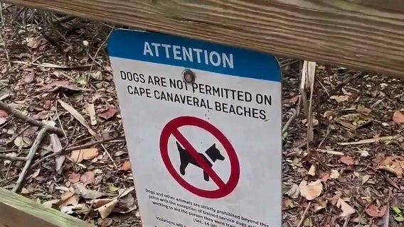 Dog attack survivor speaking out as Cape Canaveral cracks down on loose dogs in the city