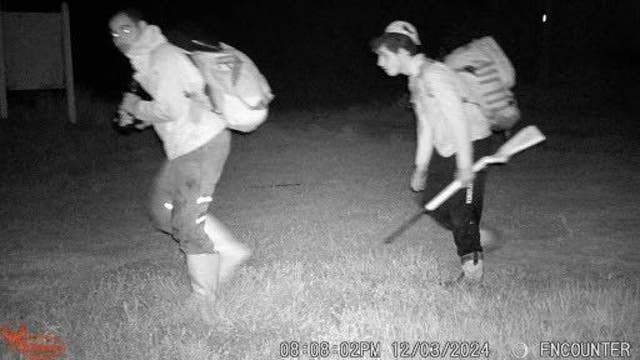 Florida deputies search for suspects in illegal deer killing